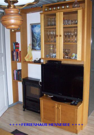 Ferienhaus Hennesee Wohnwand 