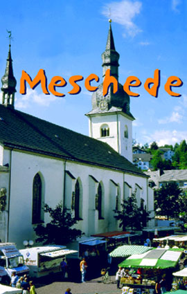 meschede St Walburger Kirche